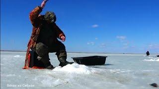 Клев как в Якутии! Закрытие рыбалки по льду! (часть2). Удочка против хапуги!