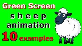 Sheep animation Green Screen 10 examples. Chroma key free download