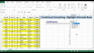 Highlight Alternate Rows by Conditional Formatting - Advanced Conditional Formatting