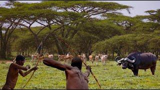 Amazing How Hadzabe Tribe Survive by Hunting in the Wild