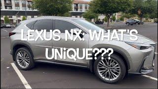 2024/2025 Lexus NX: 12 Unique Things To Know Before Purchasing