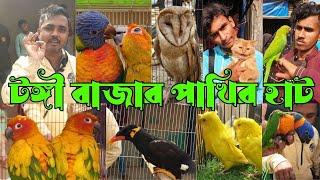 টঙ্গী বাজার পাখির হাট জমজমাট। Tongi Bazar Pakhir Hatl Birds & Pets Price | Pakhir hat 2024