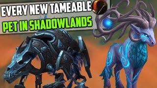 Every New Tameable Shadowlands Hunter Pet and Where to Find Them