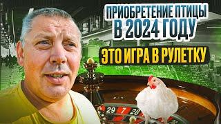 Как меня кинули с покупкой ГУСЕЙ!? Мой птичник: гуси, утки, бройлеры, несушки. "Мое Подворье" 