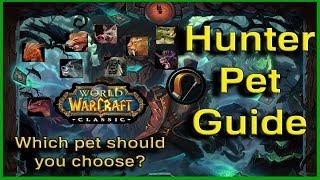 A Guide for Hunter Pets - World of Warcraft Classic