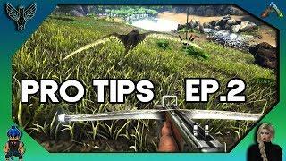 2018 ARK PRO TIPS YOU MAY NOT KNOW ABOUT # 2 [ARK SURVIVAL EVOLVED]