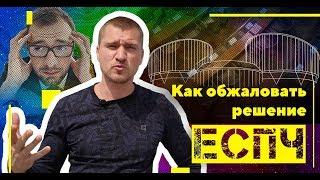 Как и куда обжаловать решение Европейского суда по правам человека