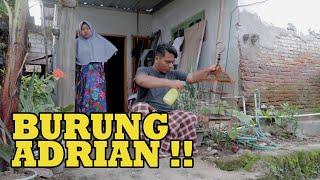 KOMEDAK (Komedi Dakwah) Sasak Lombok, Episode 32:  BURUNG ADRIAN