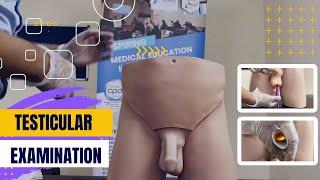 Testicular Examination - OSCE VIDEO - ASPIRE ACADEMY