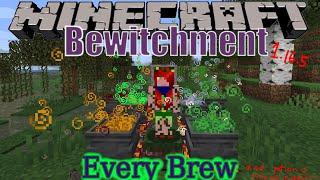 Minecraft. Bewitchment Every Brew 1.16.5