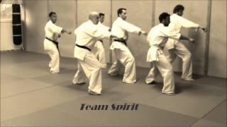 Swiss Karate Organisation Kyokushinkai IKO1