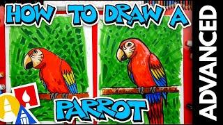 How To Draw A Bird (Parrot) - Advanced