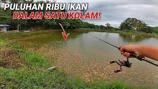 Ada 30,000 IKAN Dalam Satu Kolam! - Port Mancing Ulu Yam ( Part 3 )