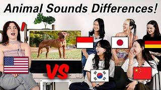 American Was shocked by Animal Pronunciation differences Between 6 Countries!!