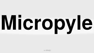 How to Pronounce Micropyle