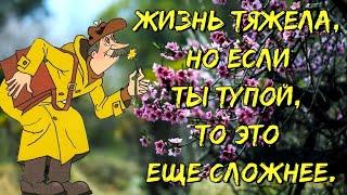 Юморнем?! Смех продлевает жизнь! Позитив для поднятия настроения!