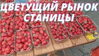 Цветущий рынок Каневской станицы: Обзор местных продуктов и достопримечательностей