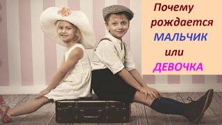 Почему рождается мальчик или девочка. Лекция Торсунова О. Г.