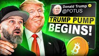 GET READY For The TRUMP PUMP! [Huge Trade Setups!]