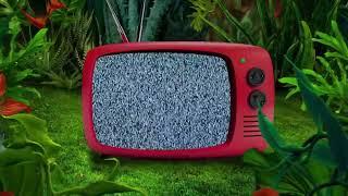 1 Hour Retro Tv No Signal White Noise