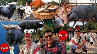 Carrying so many Mithuns, Pigs & Fish to The Bride's House || Nyishi Tribe Wedding Arunachal Pradesh