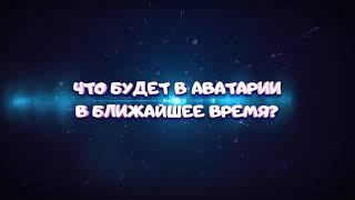 Что добавят в аватарию в ближайшее время?