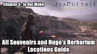 Chapter 5 In Our Wake - All Souvenirs and Hugo’s Herbarium Locations Guide l A Plague Tale  Requiem