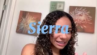 Sierra Nichole intro Fan art 