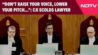 Supreme Court Kolkata Case | "Lower Your Pitch": Chief Justice Rebukes Lawyer, He Apologises