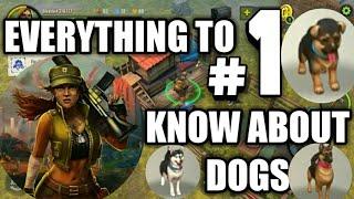 Days after Zombie survival | Everything to know about dogs