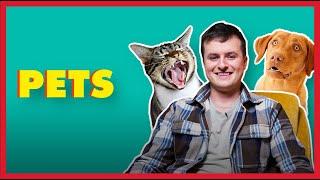 How to speak to your pets in Irish | Shockin' at Gaeilge with The Kerry Cowboy