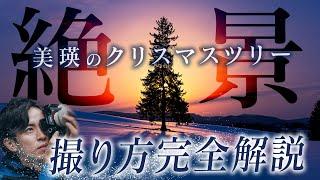 【絶景写真旅】北海道/美瑛のクリスマスツリーの木を激写！