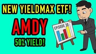 NEW YieldMax ETF $AMDY Announced | I'm BUYING!