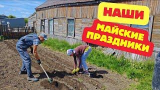 Как мы провели майские праздники I Делаю загон I Работа на пасеке