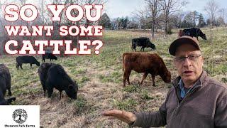 Yes!  YOU Can Raise Cattle & There Is Help Available