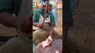 KASIMEDU SPEED SELVAM FISH CUTTING VIDEO FF CUTTING #kasimeduselvam #fishcutting #youtubeshorts