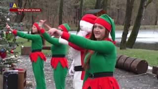 A Christmas Fairytale Forest in Volyn, Ukraine