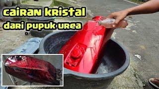 Tutorial Mudah Membuat Kristal Efek Pupuk Urea | Eksperimen Kreatif di Rumah Diton premium