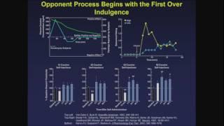 Negative reinforcement mechanisms in drug addiction