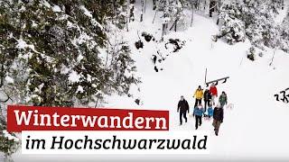 Winterwandern | Hochschwarzwald Winterliebe