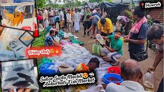 Cheapest Aquarium Fish Market | Ankurhati Fish Market New Video 2024 | Aquarium Fish Price Update