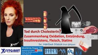Tod durch Cholesterin? Zusammenhang Oxidation, Entzündung, Insulinresistenz, Fleisch, Statine.
