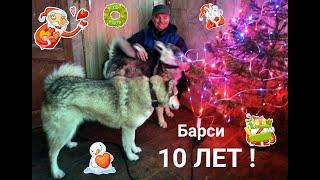 Поздравляем Барси с Днём рождения 10 лет ! Поздравляем с Наступающим Новым 2025 годом !