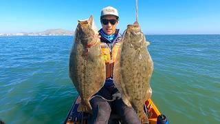 Commercial Fishing California Halibut from a Kayak (Good to be Back)