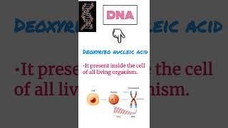 DNA-Deoxyribo nucleic acid | genetic material| #study #sciencetech