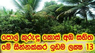 land for sale in elpitiya | real estate | land for sale | Luxury Sri Lanka | maddumaya