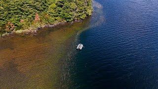 Dry Fly Action in Coyhaique's Lakes - Fly Fishing Dreams