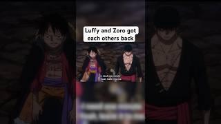 The trust of these 2 from each other #shorts #onepiece #luffy #zoro