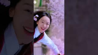 cherry blossom in Korea Cherry blossom scene in kdrama #kdrama#kdramaedit #kdramalovers #kpop