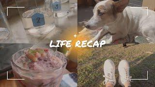 Life Vlog || BiOlympics ‍️‍️, Blackpink Oreo unboxing 🩷, School Life, Cafe, Pets